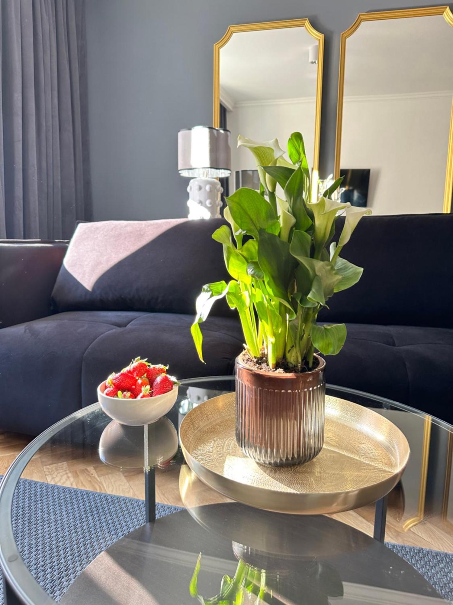 Main Square Apartments Sylvi Красков Екстериор снимка